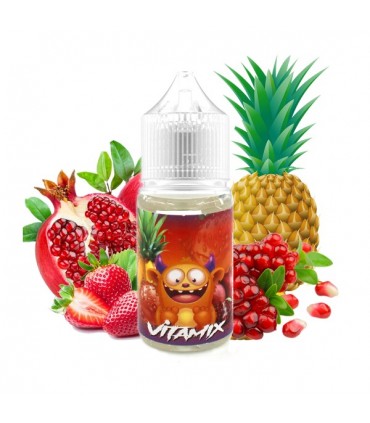 ARÔME CONCENTRÉ VITAMIX 30ML BELGI'OHM